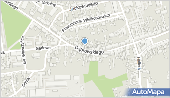 Krystyna Pasternacka Zakład Handlowo-Usługowy Copa 89-100 - Przedsiębiorstwo, Firma, NIP: 5581224116