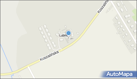 Krystyna Trojanowska, Koszalińska 68, Kołobrzeg 78-100 - Przedsiębiorstwo, Firma, NIP: 6711138641