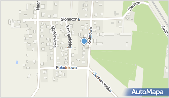 5691723501, Tomasz Krysztofiak 