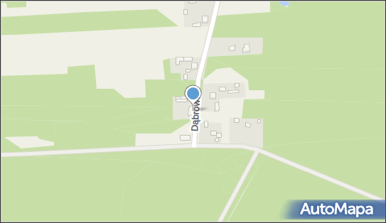 Krzysztof Bernard Kaleta, Dąbrowa 86, Dąbrowa 95-081 - Przedsiębiorstwo, Firma, NIP: 7311192318