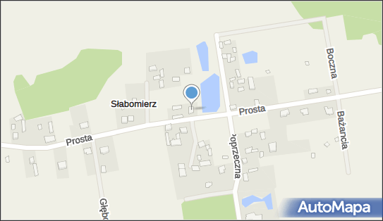 Krzysztof Borowiec - Działalność Gospodarcza, ul. Prosta 50 96-325 - Przedsiębiorstwo, Firma, NIP: 8381201388