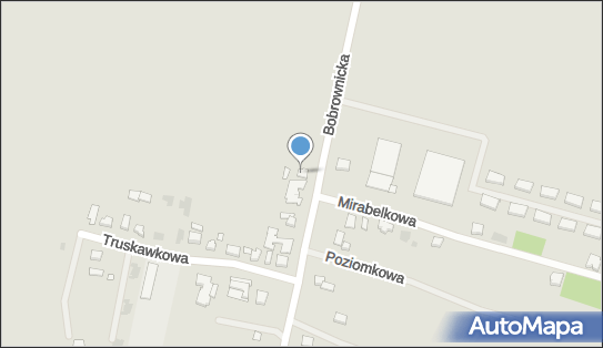 Krzysztof Falis Falis, Bobrownicka 31, Poznań 61-306 - Przedsiębiorstwo, Firma, NIP: 7821174590