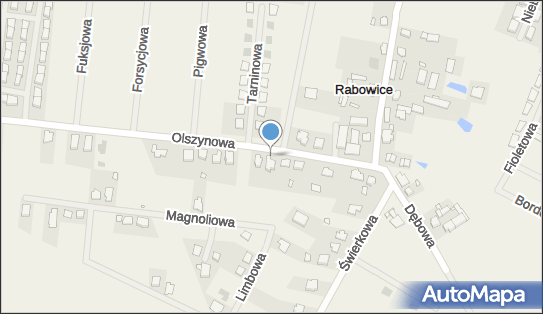 Krzysztof Głąbała Arbor, ul. Olszynowa 15, Rabowice 62-020 - Przedsiębiorstwo, Firma, NIP: 7681213395