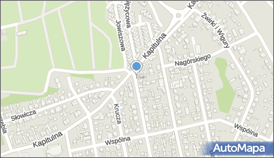 8881670991, Usługi Transportowe Krzysztof Pawlak 