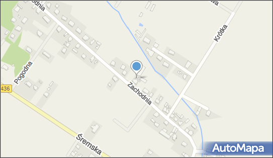 7851684999, Ekspert Ogrodnik Krzysztof Przybylski 