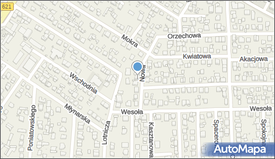 5221045541, Międzynarodowy i Krajowy Transport Krzysztof Puchalski 