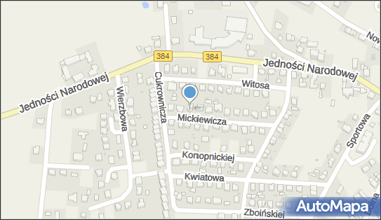 9141139762, Trans - Krzysztof Krzysztof Radziewicz 