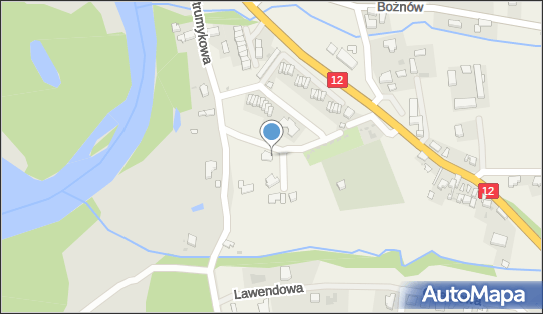 Krzysztof Sokołowski Rękodzieło Artystyczne, Bożnów 148 68-100 - Przedsiębiorstwo, Firma, NIP: 9240008075