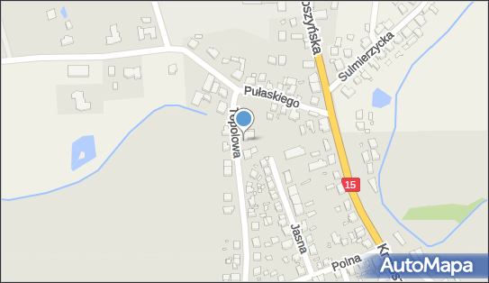 Kundycki P.Team., Milicz, Topolowa 26, Milicz 56-300 - Przedsiębiorstwo, Firma, NIP: 8842117563