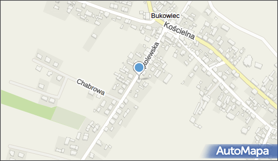 Kupno i Sprzedaż Runa Leśnego, Kąkolewska 13, Bukowiec 64-300 - Przedsiębiorstwo, Firma, NIP: 7881011874