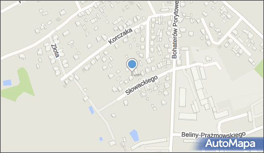 Kursy Języków Obcych, ul. Juliusza Słowackiego 16 23-300 - Przedsiębiorstwo, Firma, NIP: 8621005995