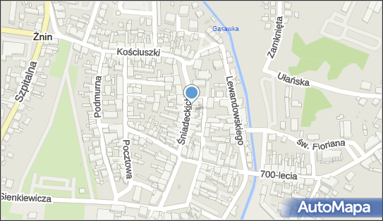 Kwiaciarnia Ania Czesława Goc, Śniadeckich 14, Żnin 88-400 - Przedsiębiorstwo, Firma, NIP: 5621421829