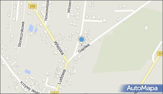 9171064773, Stelmarczyk Marian Kwiaciarnia 