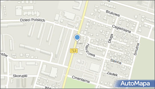 Kwiaciarnia Zysiak Witold, Warszawska 94, Tomaszów Mazowiecki 97-200 - Przedsiębiorstwo, Firma, numer telefonu, NIP: 7731013305