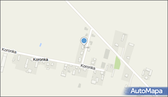 Kwiaty i Dekoracje, Koronka 3c, Koronka 62-817 - Przedsiębiorstwo, Firma, NIP: 9680865406