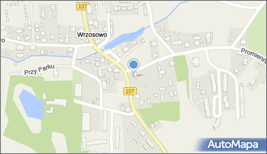 L & w Leśniak Ludwik Wiśniewski Waldemar, Wrzosowo 12 72-400 - Przedsiębiorstwo, Firma, numer telefonu, NIP: 9860114015