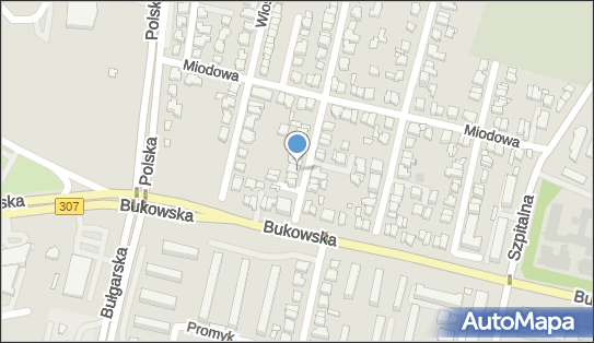 9720435593, Laboratorium Techniki Dentystycznej Fabiś Sylwia 