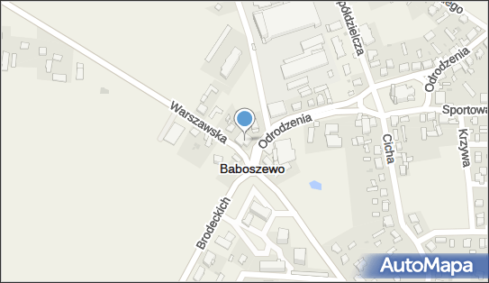 Łączyński Jarosław, Mini Bar Zagłoba, Odrodzenia 1, Baboszewo 09-130 - Przedsiębiorstwo, Firma, NIP: 5671015480