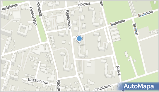 Ładunków Ciężarowym Pojazdem Samochodowym, ul. Reptowska 34A 41-908 - Przedsiębiorstwo, Firma, NIP: 6261737903