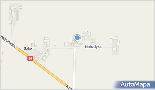 Land Speed Tomasz Woźniak, ul. Nabzdyka 15, Lutogniew 63-700 - Przedsiębiorstwo, Firma, NIP: 6211744551