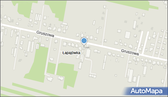 Łapaj Mirosław, ul. Gruszowa 63, Częstochowa 42-200 - Przedsiębiorstwo, Firma, NIP: 9490862089