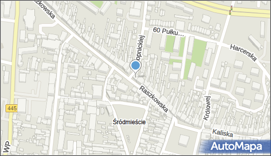 Laren T, Raszkowska 18, Ostrów Wielkopolski 63-400 - Przedsiębiorstwo, Firma, numer telefonu, NIP: 6222373271