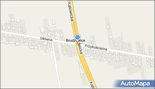 Łaszczyca Zofia, Brudzowice 236 A, Brudzowice 42-470 - Przedsiębiorstwo, Firma, NIP: 6491302528