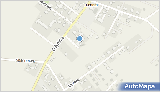 LDT Logistik, ul. Gdyńska 92, Tuchom 80-209 - Przedsiębiorstwo, Firma, numer telefonu, NIP: 6040142436