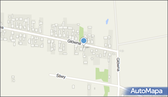 Lebiecki Marek Lebiecki Marek Zakład Produkcyjno Usługowo Handlowy 42-625 - Przedsiębiorstwo, Firma, NIP: 6451043078