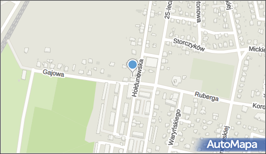 6462490438, Lędzińskie Stowarzyszenie Na Rzecz Osób Niepełnosprawnych i Ich Rodzin 