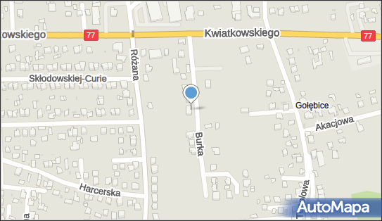 5391003895, Ewelina Błajszczak 