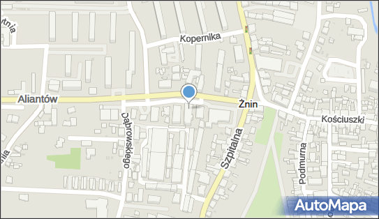 Lek.Dent.Olga Chodkiewicz, ul. Aliantów 1a, Żnin 88-400 - Przedsiębiorstwo, Firma, NIP: 5621755387
