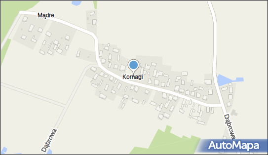 Lekarska Praktyka Wyjazdowa, Dąbrowa 19, Dąbrowa 37-600 - Przedsiębiorstwo, Firma, NIP: 7931429128