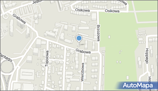 Lekarskie Wizyty Domowe, ul. Grabowa 5/12, Katowice 40-172 - Przedsiębiorstwo, Firma, NIP: 9541540787