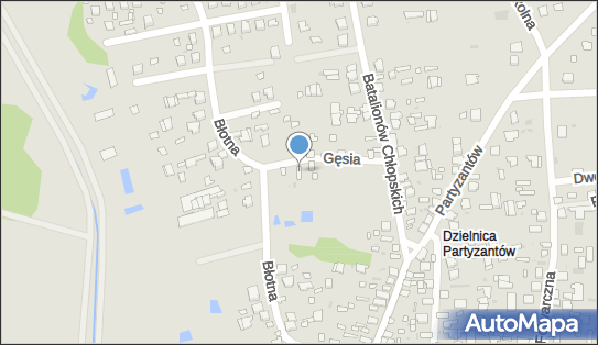 7141456467, Leon Gruszczyk 