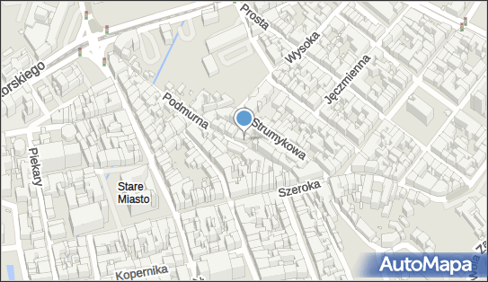 Leonard Gerlasiński - Działalność Gospodarcza, Podmurna 34 87-100 - Przedsiębiorstwo, Firma, NIP: 8791466011