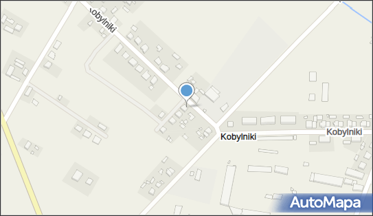 Lesicki Ryszard, Słopanowo-Huby 38, Słopanowo 64-520 - Przedsiębiorstwo, Firma, NIP: 7871467182