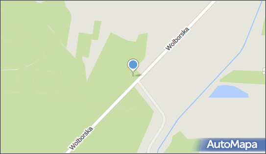 Leśna, Wolborska 110, Piotrków Trybunalski 97-300 - Przedsiębiorstwo, Firma, numer telefonu, NIP: 7711000529