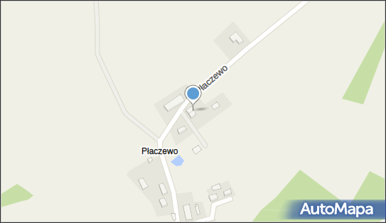 Leśna, Płaczewo N/N, Płaczewo 83-200 - Przedsiębiorstwo, Firma, NIP: 5921054921