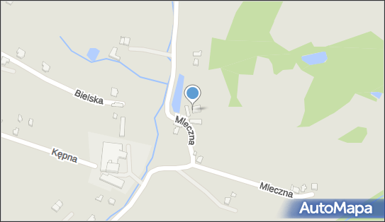 Leśne Przedsiębiorstwo Handlowo Usługowe Wald, Mleczna 20 43-400 - Przedsiębiorstwo, Firma, NIP: 5480009729