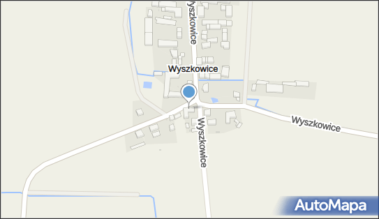 Leszek Sowiński, Wyszkowice 13, Wyszkowice 55-216 - Przedsiębiorstwo, Firma, NIP: 9121160121