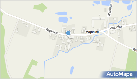 9161172142, Lew-Trans Danuta Lew 