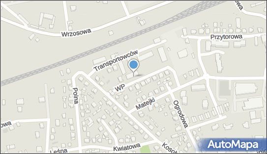 5551943220, Lew Transport Tomasz Łoński 