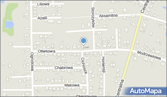 Lewandowski Andrzej, ul. Oliwkowa 16, Opole 45-940 - Przedsiębiorstwo, Firma, NIP: 7542001465