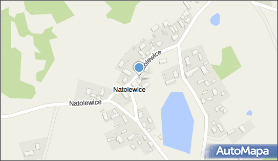 LI Tex Kawiorski Maciej Szeląg Sylwia, Natolewice 27, Natolewice 72-311 - Przedsiębiorstwo, Firma, NIP: 8571888371