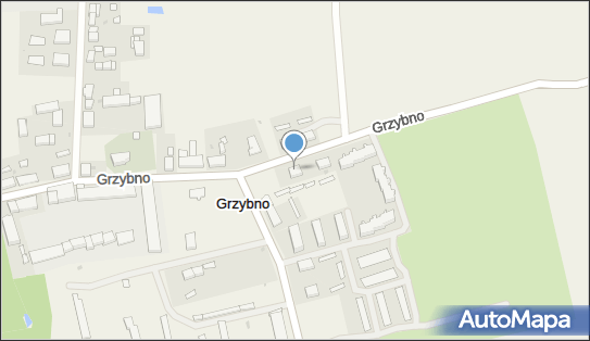 Lider - Fizjomed Mariusz Suska, Grzybno 42, Grzybno 74-500 - Przedsiębiorstwo, Firma, NIP: 8581031666