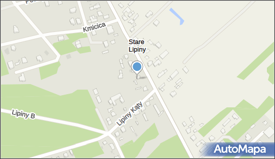 Liders SKG Sp. z o.o., Aleje Niepodległości 133, Wołomin 05-200 - Przedsiębiorstwo, Firma, godziny otwarcia, numer telefonu