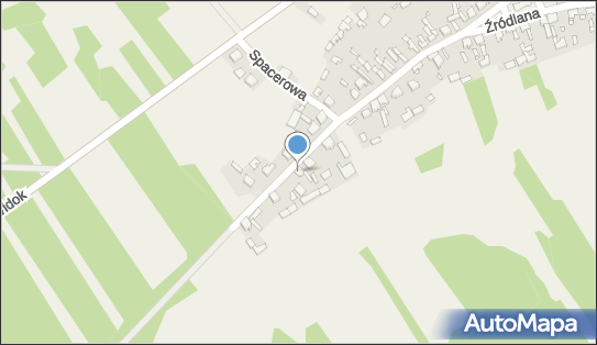 Lider, Wesoła 39, Zdów 42-421 - Przedsiębiorstwo, Firma, NIP: 6492097527