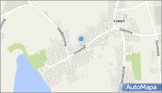 Lidia Frąk Zakład Usługowo Handlowy, Gminna 14, Łowyń 64-426 - Przedsiębiorstwo, Firma, NIP: 5951446979