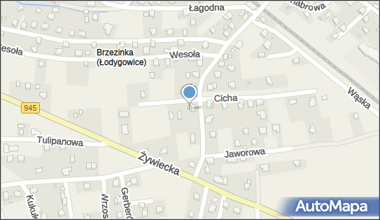 Lingua, Stefana Batorego 28, Łodygowice 34-325 - Przedsiębiorstwo, Firma, NIP: 5531917573